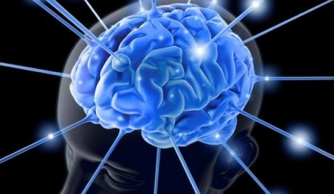 Intelligence