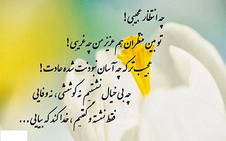 15th Eve of Blessed Sha’ban