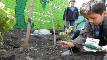 environmental schools planned