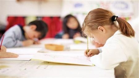 schools