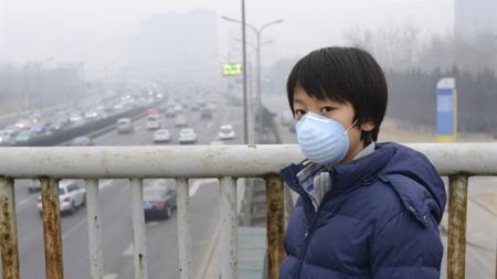 Air pollution exposure reduces children's working memory
