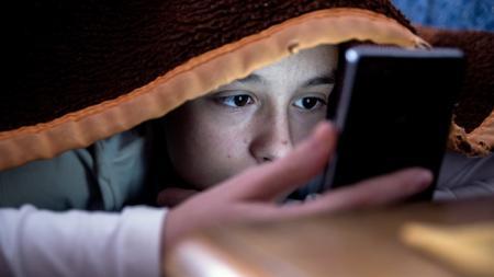 pupils 'ill-equipped , social media