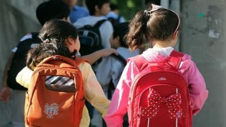 primary schoolers , South Korea, private education
