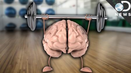 Exercise Improves Your Memory 