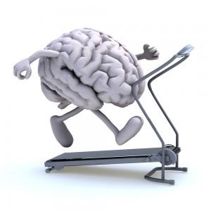 Exercise & Brain  